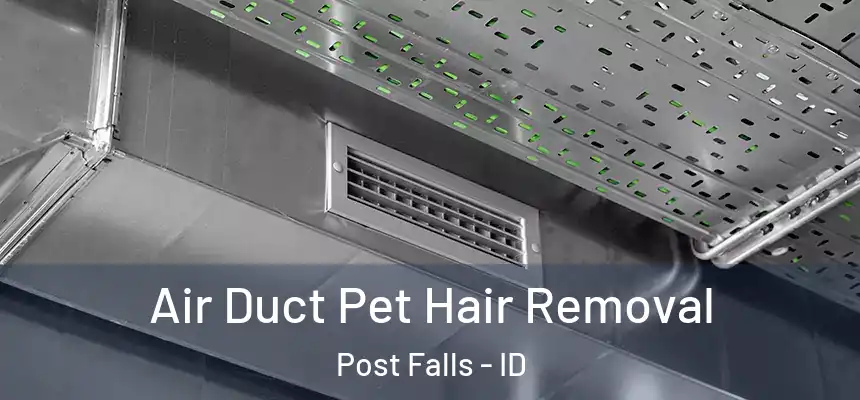 Air Duct Pet Hair Removal Post Falls - ID
