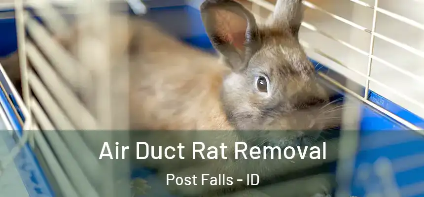  Air Duct Rat Removal Post Falls - ID