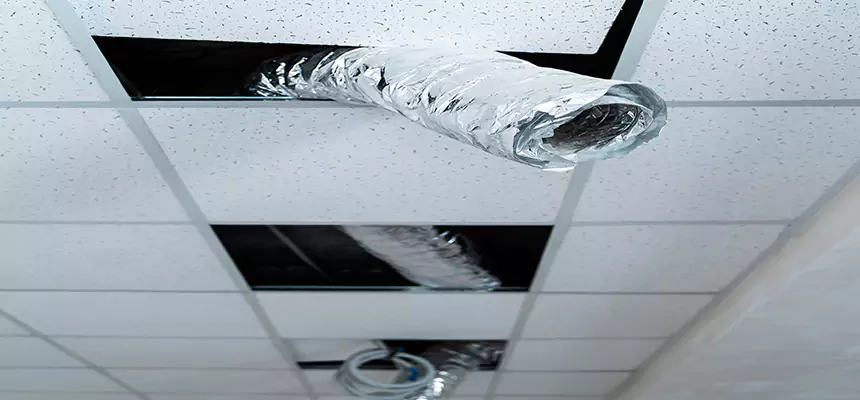 Our Air Duct Pet Hair Removal Services in Post Falls, ID