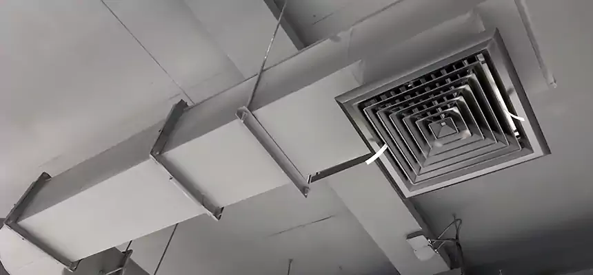 Our Pest Removal From Ducts Services in Post Falls, ID