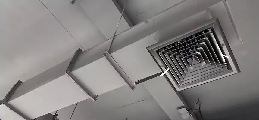 Our Rodent Droppings In Vents Services in Post Falls, ID