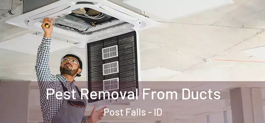  Pest Removal From Ducts Post Falls - ID