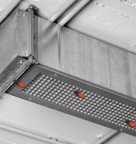 About Air Duct Cockroach Removal in Post Falls, ID