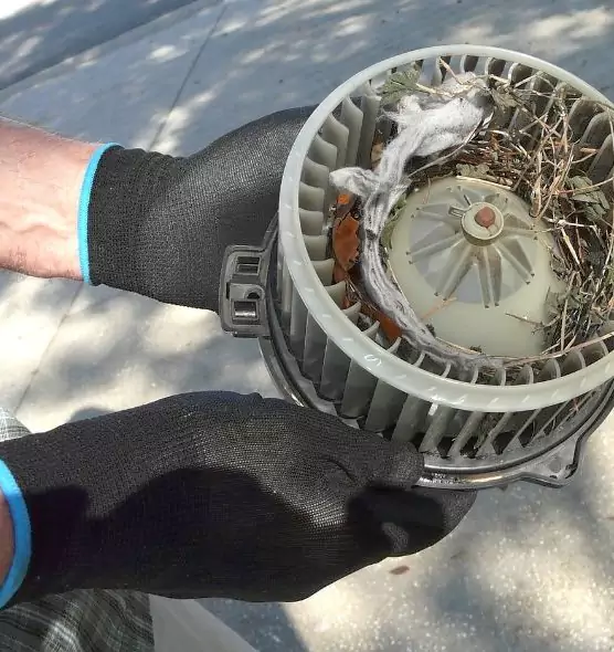 About Air Duct Rat Removal in Post Falls, ID