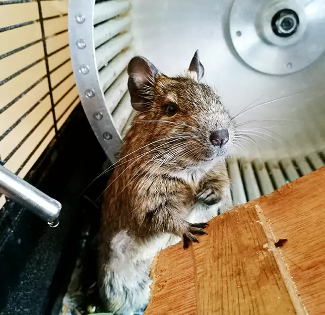 Why Homeowners & Businesses Trust Us Post Falls, ID